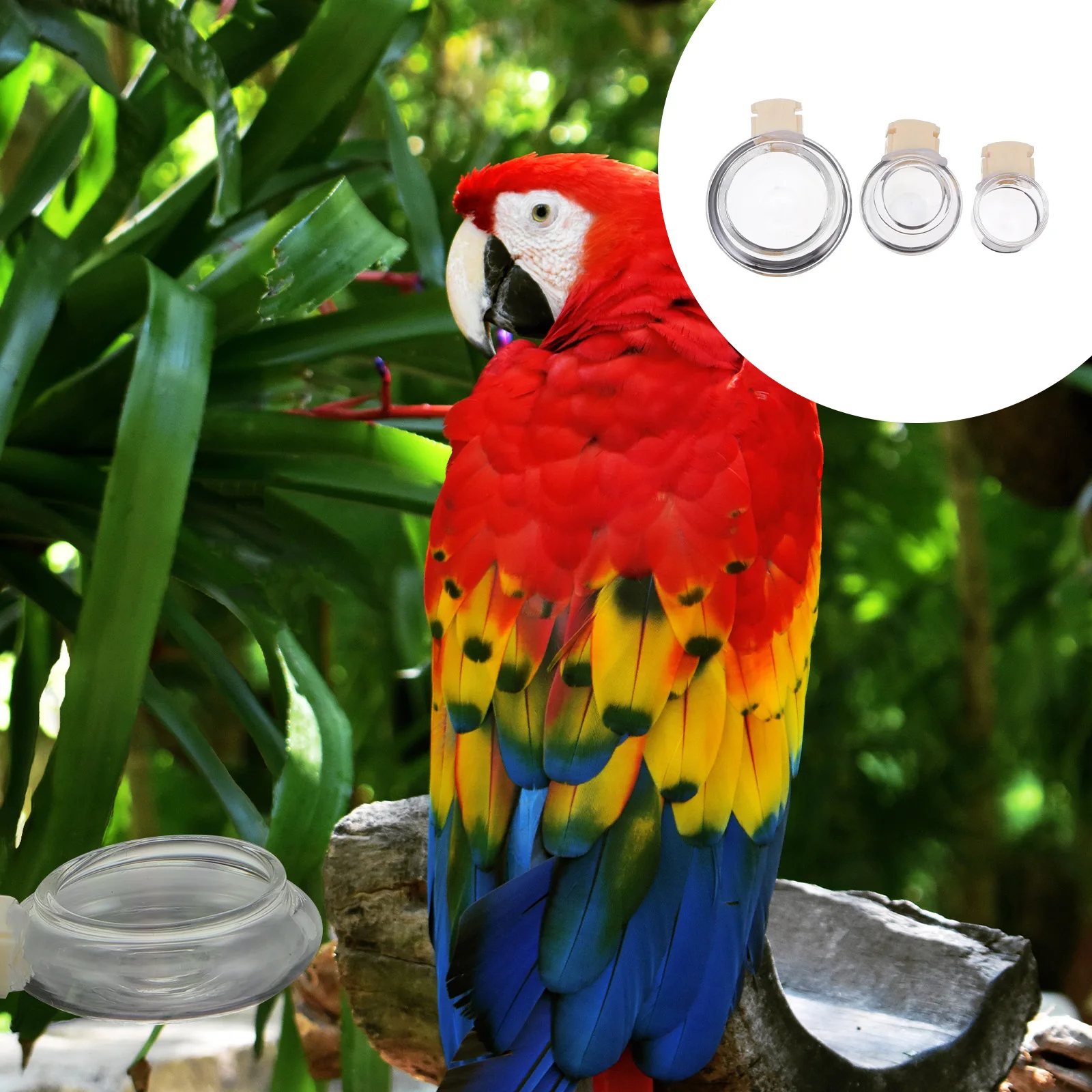 

1Set Premium Glass Bird Bowl Cup Feeding Bath Set for Pet Parrots Cage Water Food Container Birdcage Accessories Tough Reliable