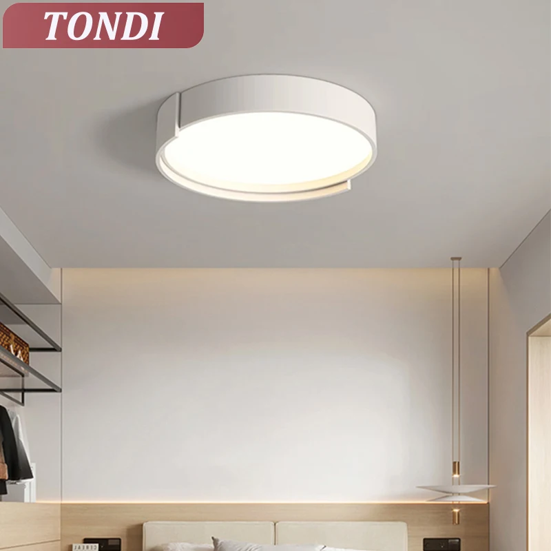 Modern Ceiling Light LED Room Lighting Living Room Dining Room Bedroom Study Home Decorative Light Indoor Lustres Fixtures