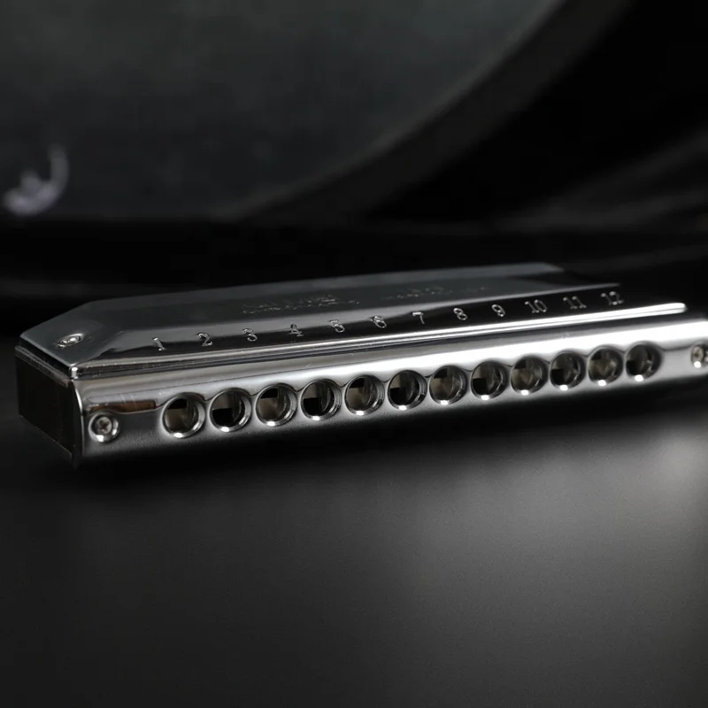 Steel 12 Hole 48 Notes Polyphonic C Chromatic Harmonica Music Instrument for Profession Perform