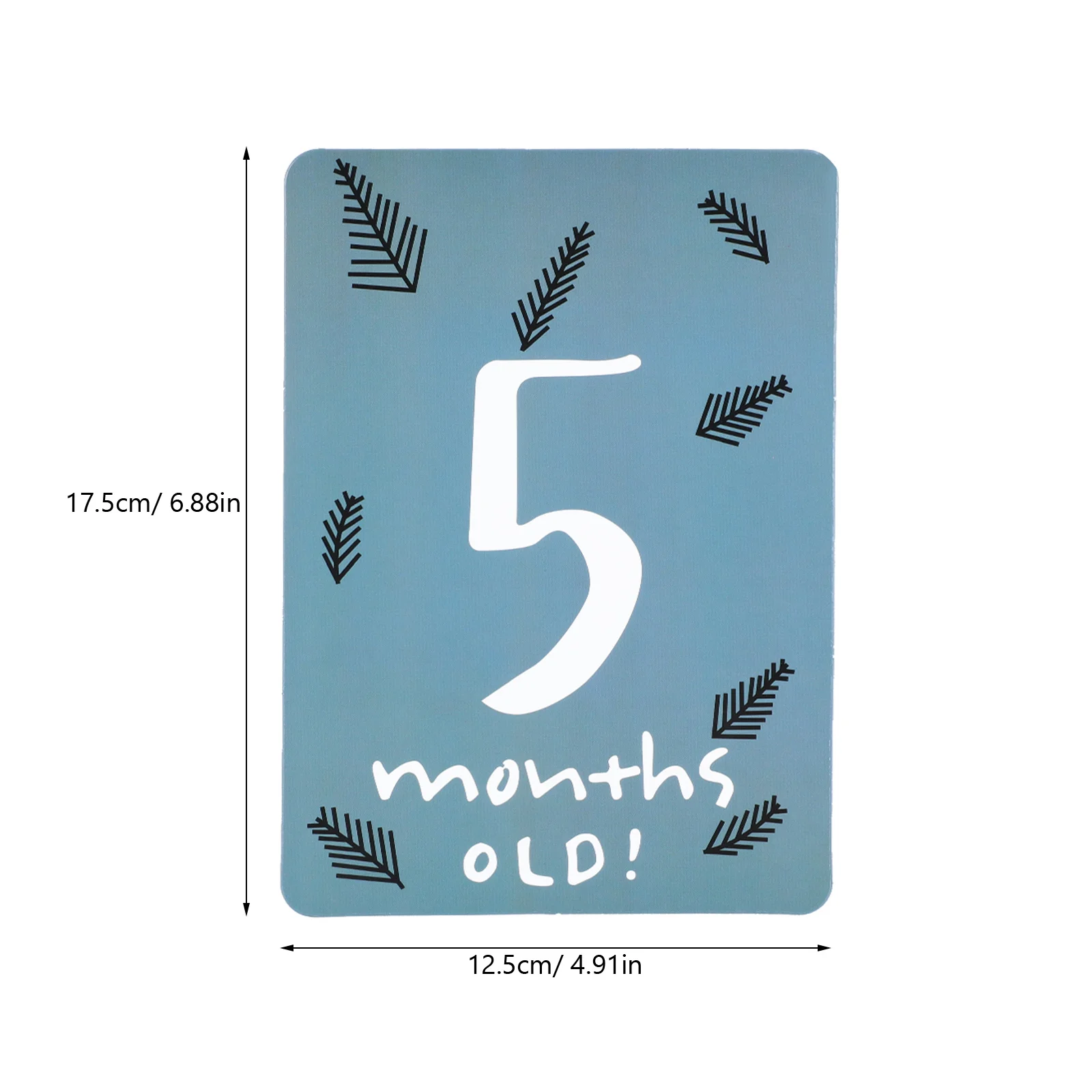 Cartes de jalon de croissance pour bébé, ensemble imprimé coloré, accessoires de photographie d'âge mensuel pour bébé, cartes de jalon commémoratives Photo, 20 pièces