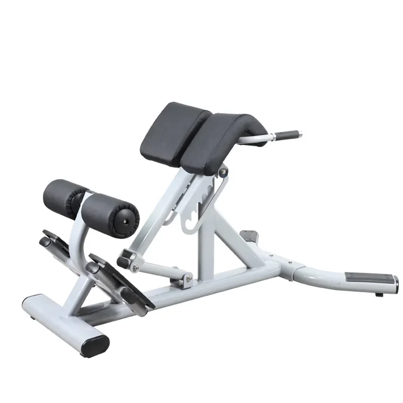 2026 Color Customized Commercial Fitness Equipment Back Extension Roman Chair