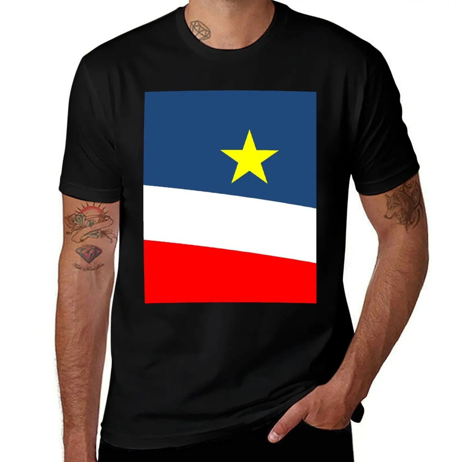 Acadian Flag - Drapeau acadien T-Shirt tops anime tshirt street wear tee shirts for men