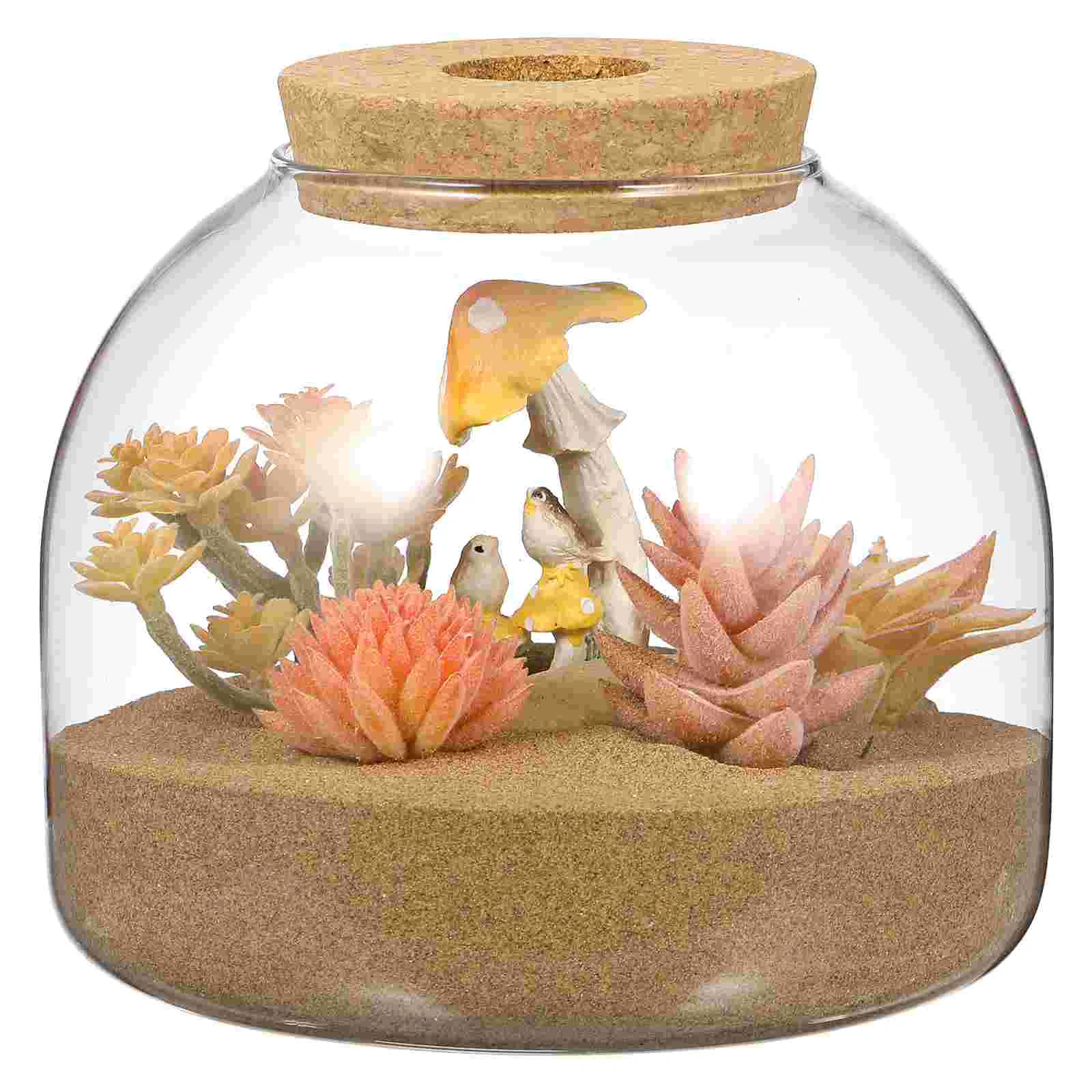 Cork Glass Bottle Plant Terrarium Large Micro Landscape Flower Pots Ecosystem Small Container Bracket Cookie Jar Office