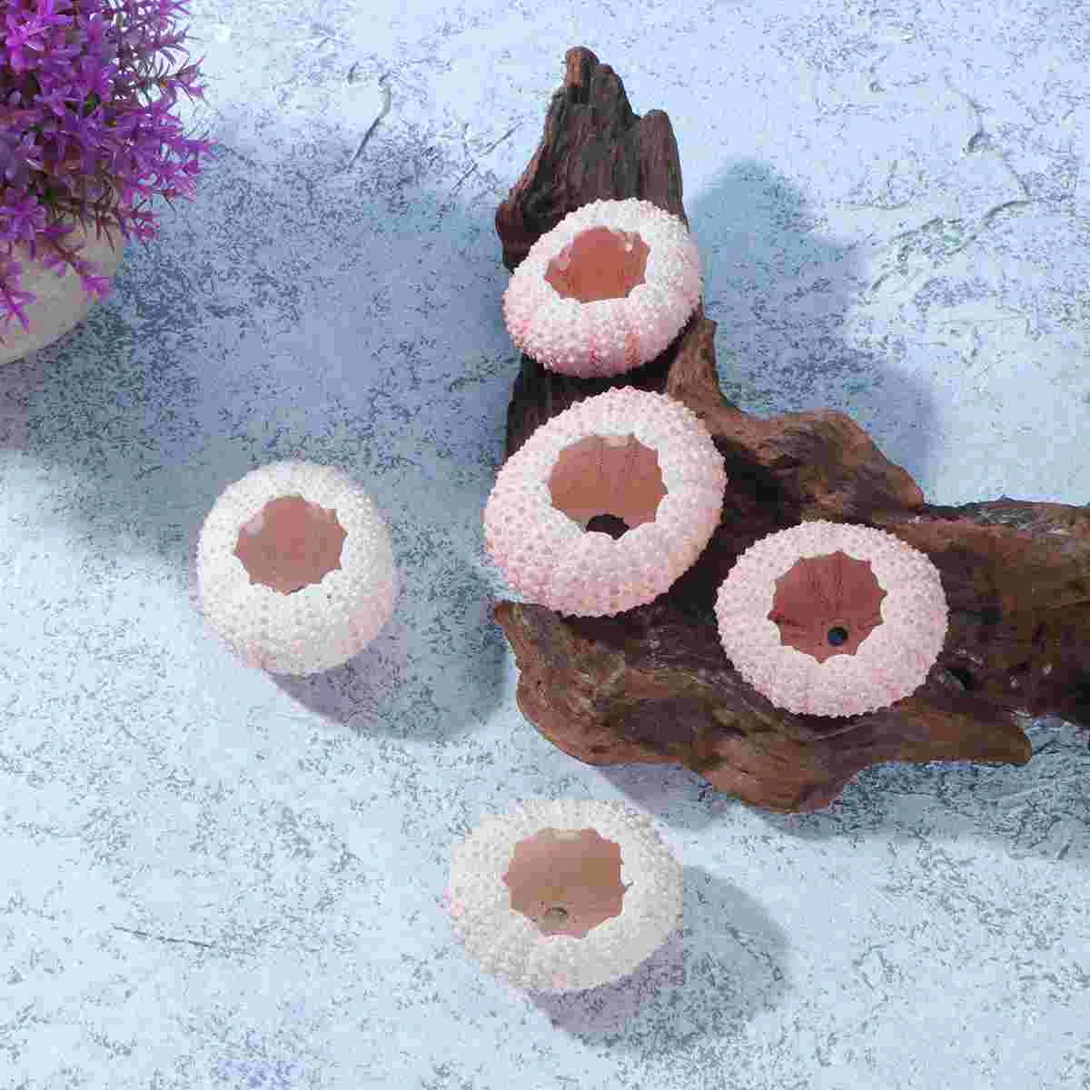 6 Pcs Sea Urchin Shells Terrarium Conch Tillandsia Plants Container Air Planting Pot DIY Hand Craft Material