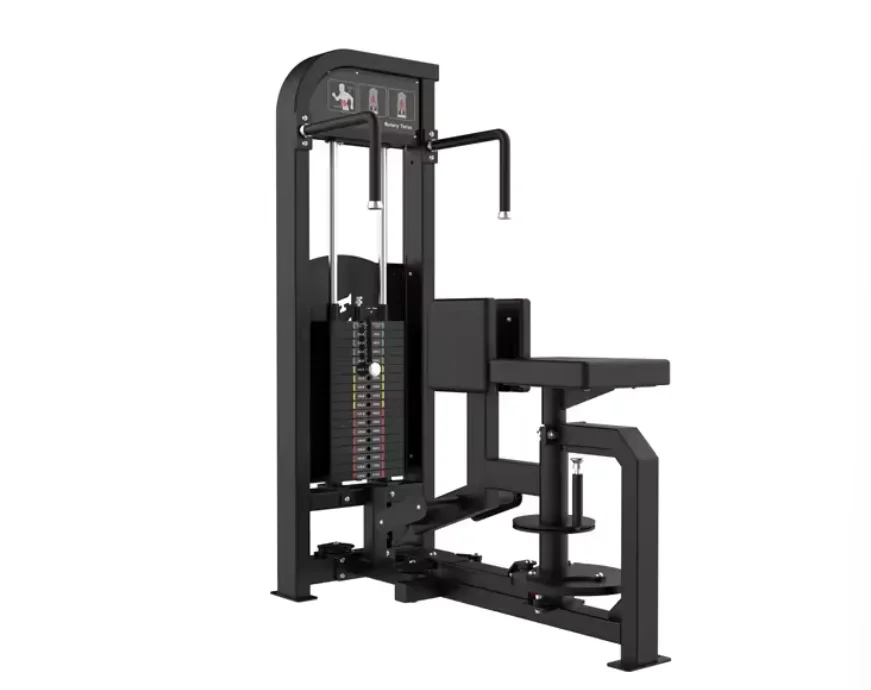 

Pin Loaded Gym Equipment Strength Training Machine Rotary Torso