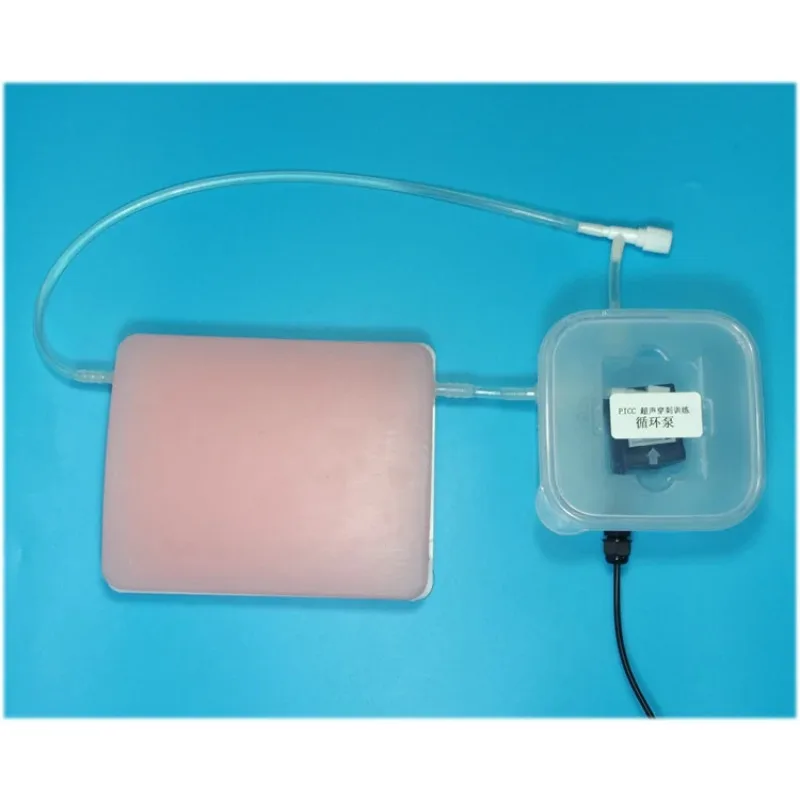 training puncture module Ultrasound guided vascular puncture model circulation pump B-ultrasound intervention training