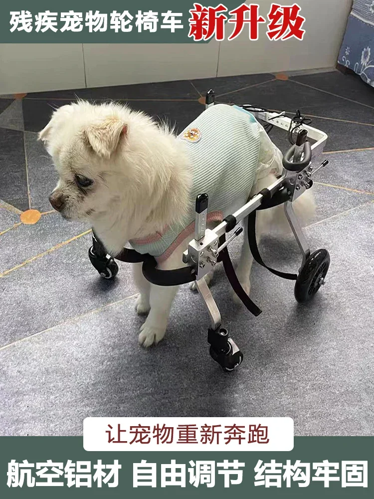 Car Disabled Dog Hindleg Assist Cat Teddy Large Small Dog Bracket