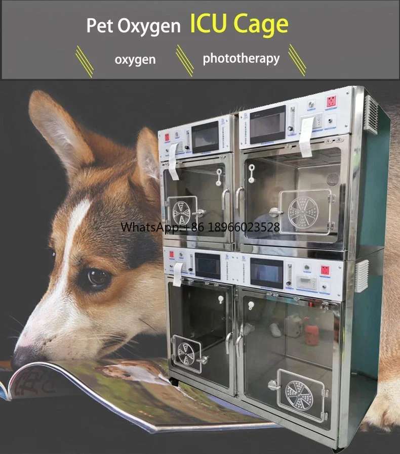 Wholesale rugged safety and health pet cage cat cage pet  stainless steel cage supply  cat dog house room