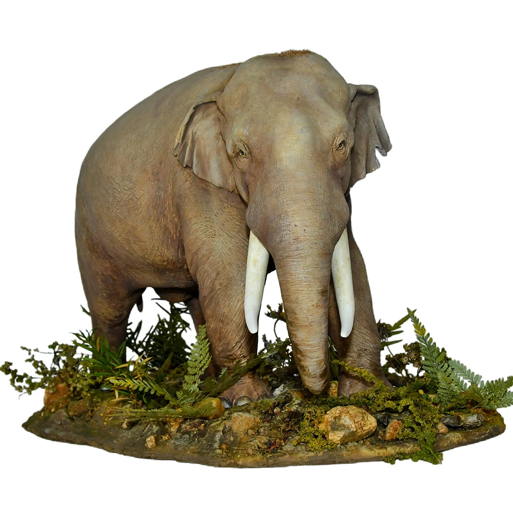 

1/35 1/15 1/10 Resin Asian Elephant Hand Painte GK Animal Model Enthusiast Hand Drawn Collection High-end Toy