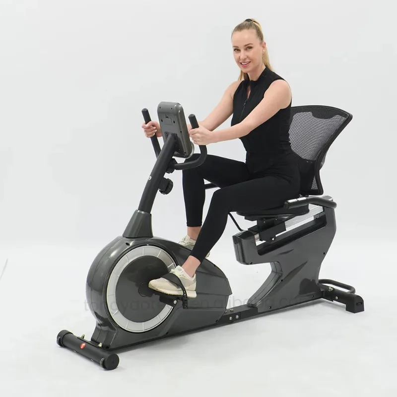 

Indoor Spin Bike Body Fit Fitness Equipment for Gym Use Metal Material on Sale