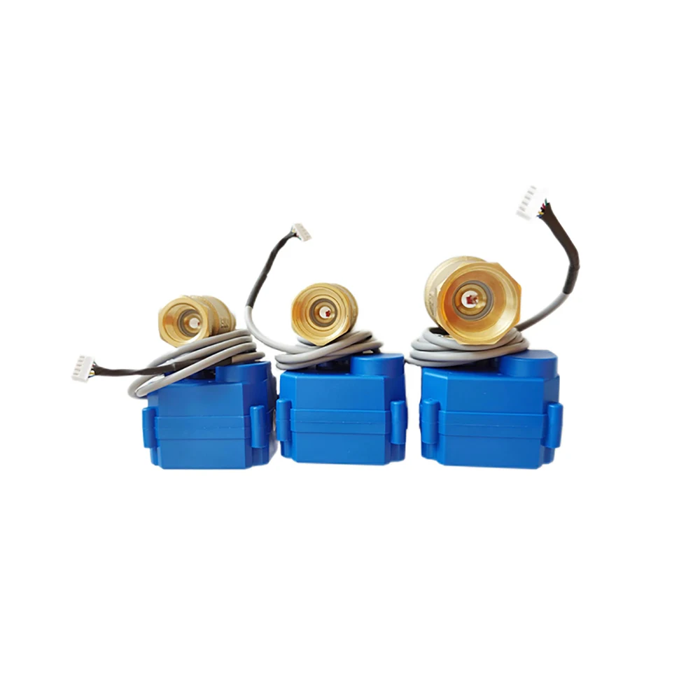 Waterlek Sensor Alarmes Czujniki Met 2Pcs DN15 DN20 DN25 Smart Klep En 8 Stuks Water Sensor Agua Smartlife beveiliging