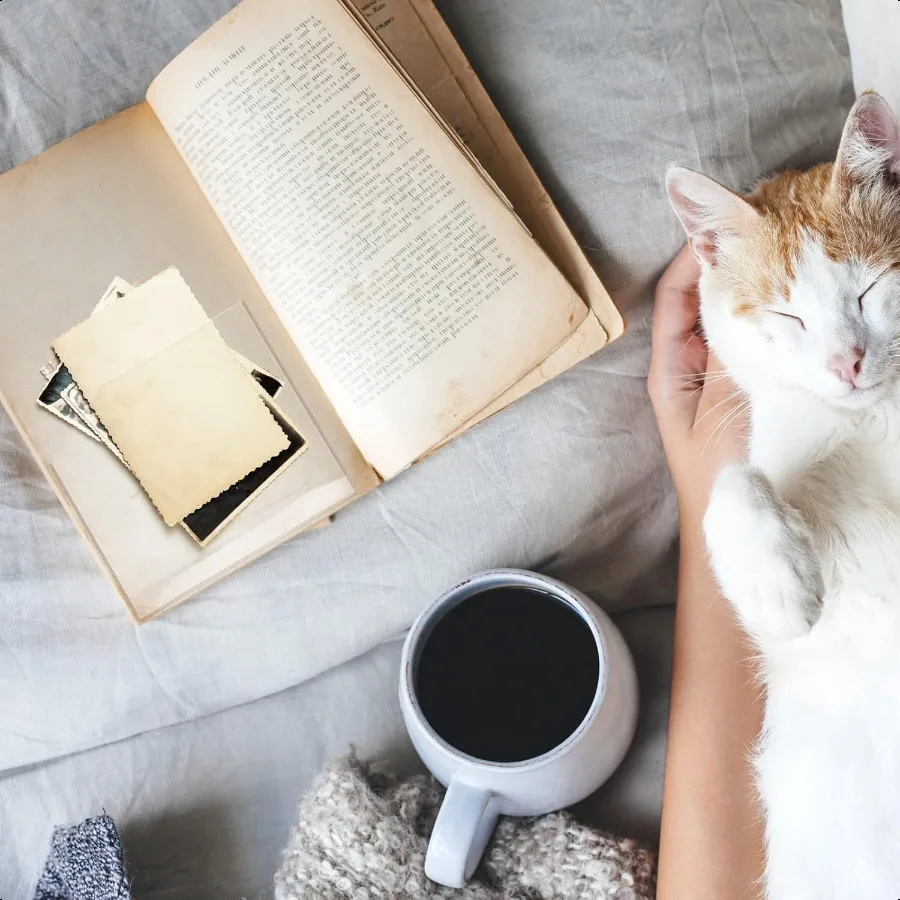 Клейкие прозрачные угловые карманы 6 x 6-дюймовые липкие карманные рукава Самоклеящиеся карманы Дополнительное место для хранения вещей для ноутбуков Fol