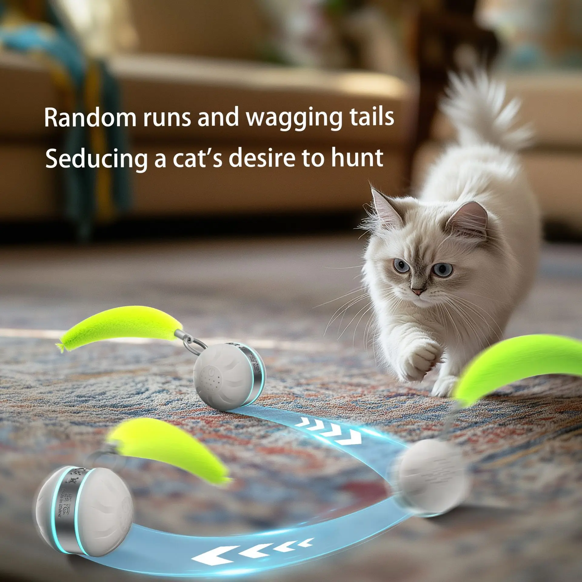 Automatic Amuse Cat…