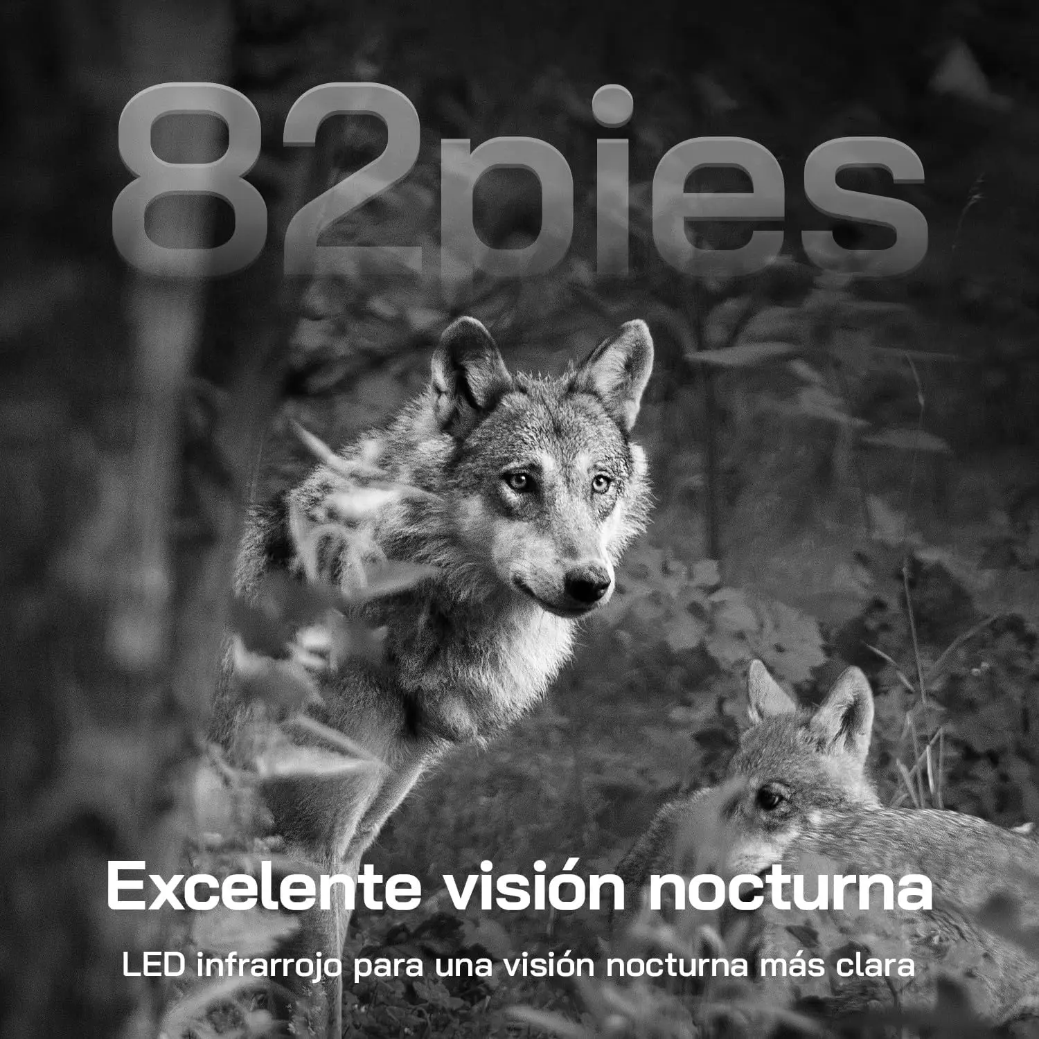 WOLFANG WT04: La Cámara de Caza Solar con 4G LTE y Detección PIR Nocturna que Cambió Mi Estrategia de Vigilancia en el Campo
