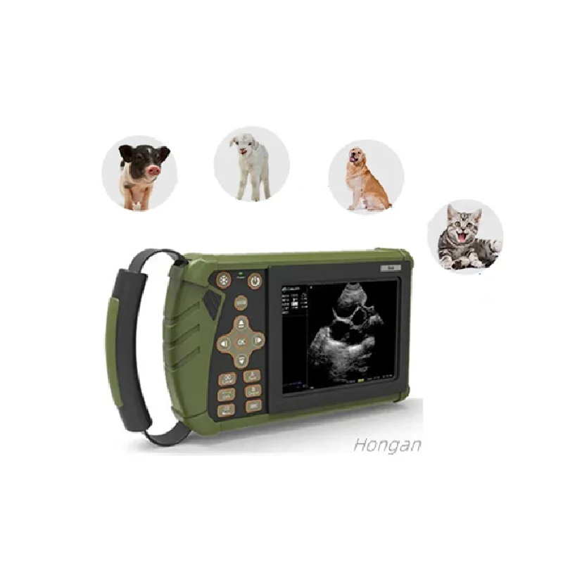 

Hongan Veterinary Machine High-Definition Portable Tester Pig and Cattle Use Handheld Veterinary