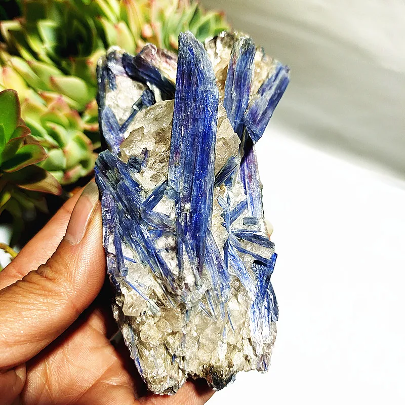 Natural Mineral Stone Kyanite Crystal Cluster Room Decoration Mine Standard Miner Specimen Open home decorated Healing Crystals