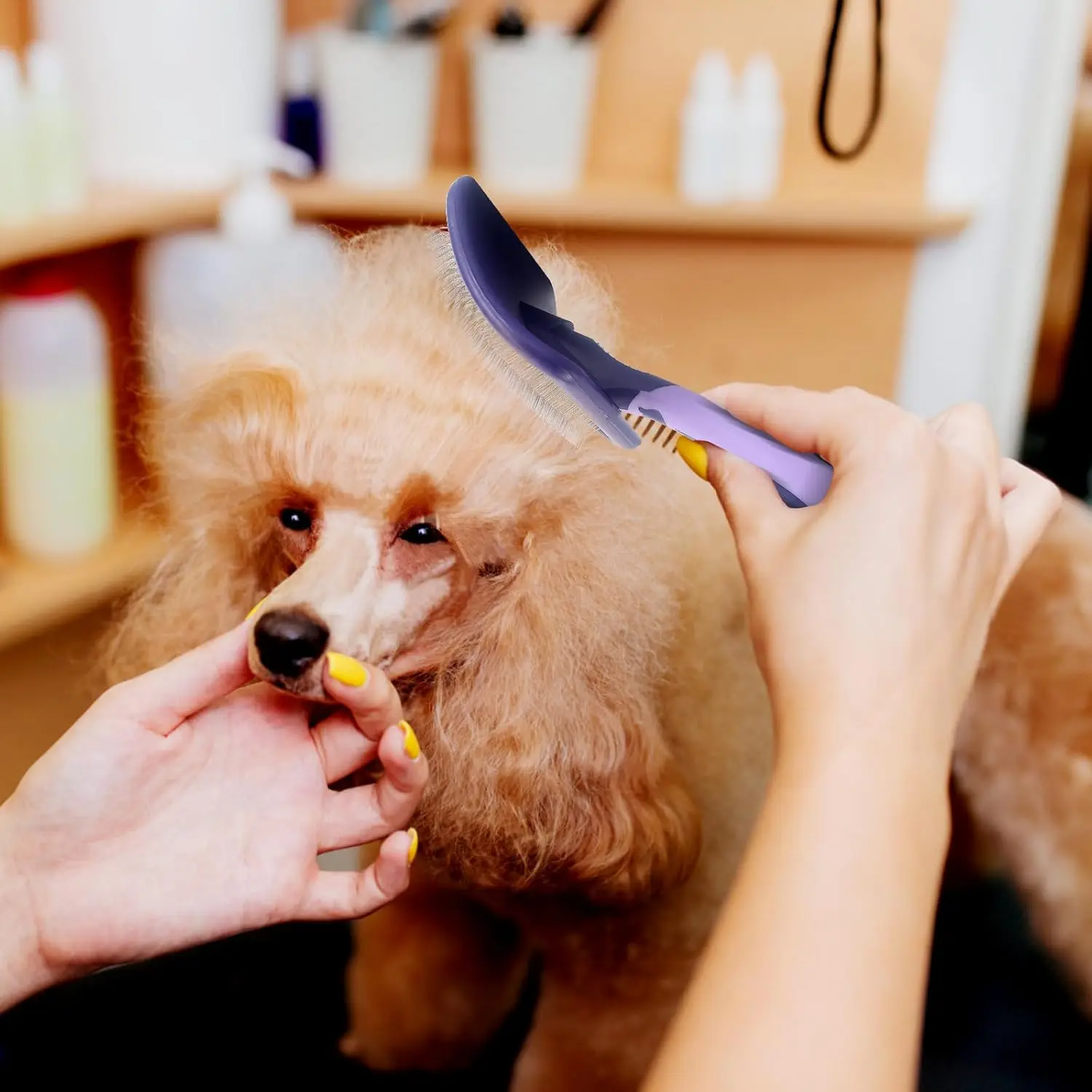 Dog Brush for Poodles Grooming Brush for Dematting Detangle Poodles German Shepherd Hair Pitbulls Yorkies Retriever Bathing view 6