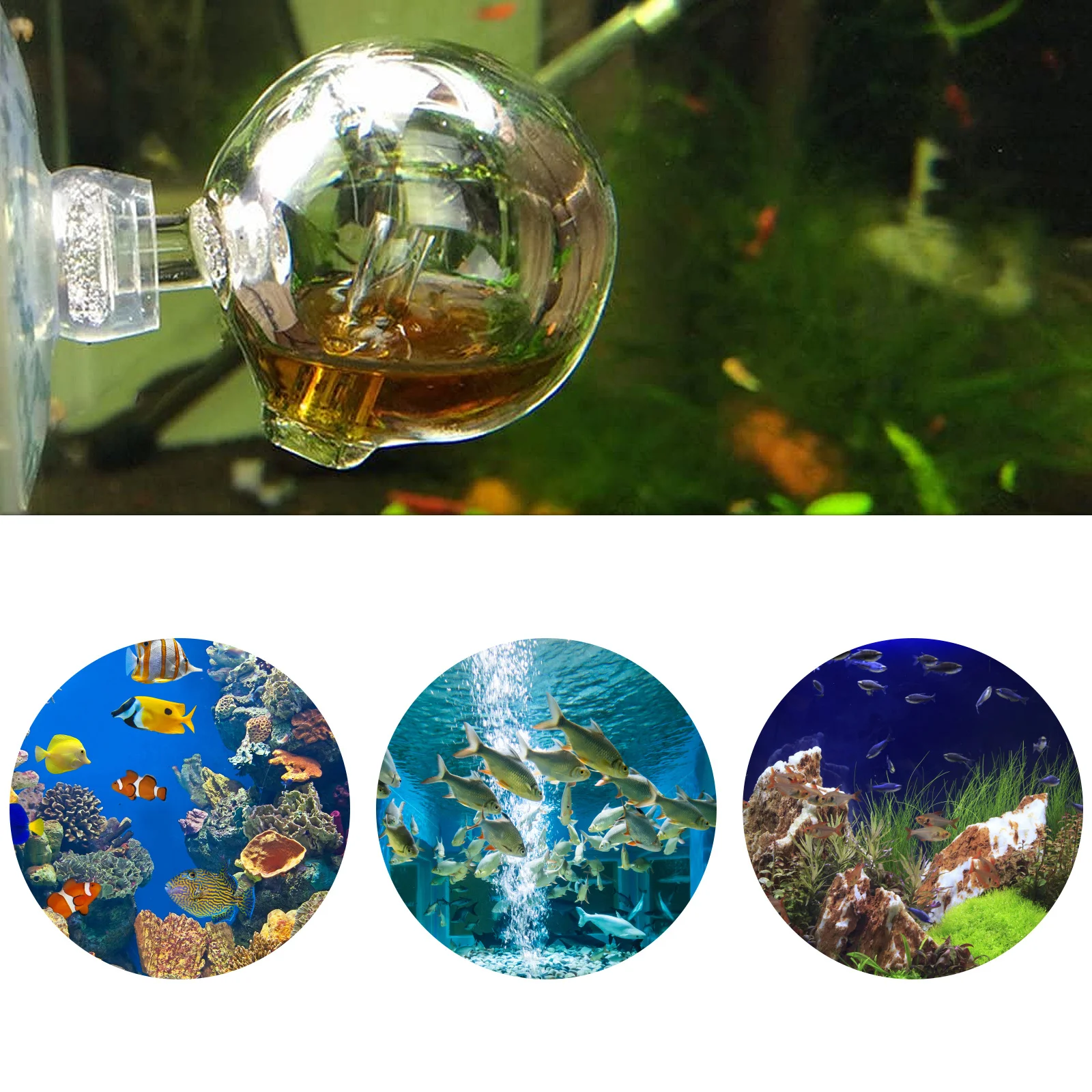 

2Pcs Fish Tank Carbon Dioxide Checker Glass Drop Co2 Monitor Aquarium Co2 Indicator Tropical Dioxide Tester