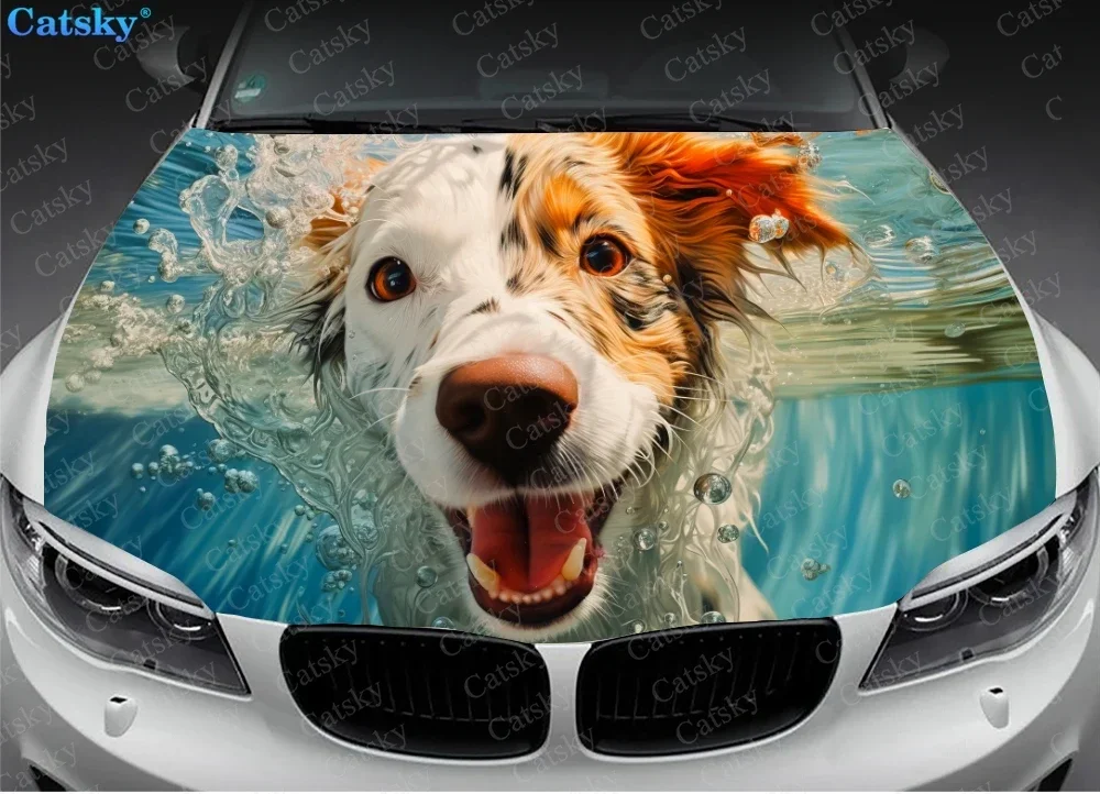 Funny Dog Swimming Underwater Car Hood Decal Truck Decals Vinyl Sticker Graphic Wrap Stickers Trucks Cars Bonnet Vinyls