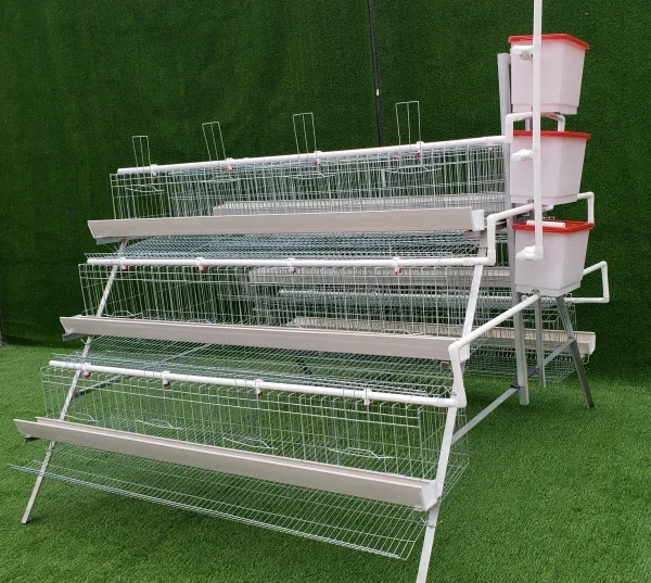 Egg laying Q235 Hot Dip Galvanized Modern Chicken Cages For 96 Birds breeding cage with feeder system