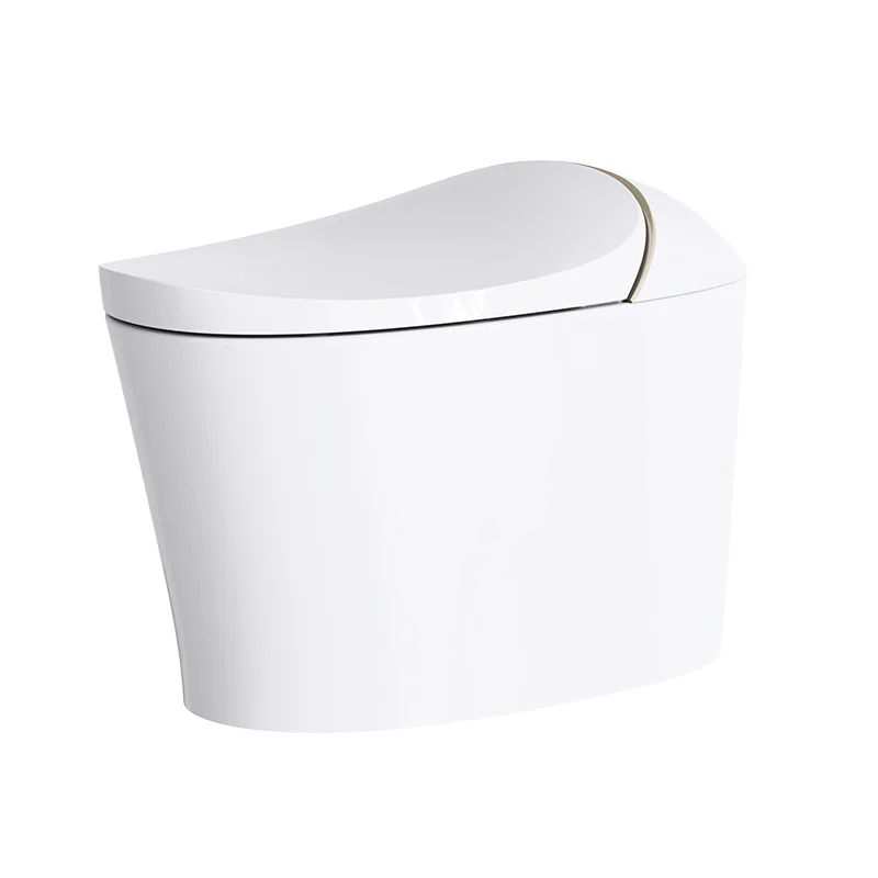 

High-End Smart Bathroom Toilet Floor Mounted with Remote Control Electric Sensor Automatic Bowl WC Intelligent Toilet