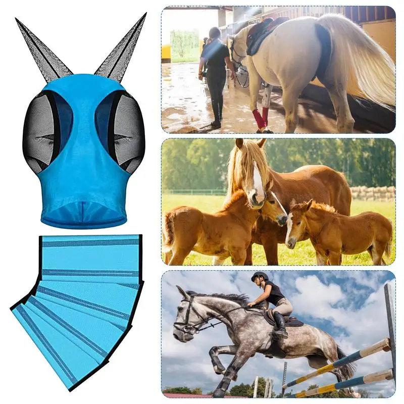 Protector de piernas de caballo, botas para moscas de caballo, envolturas para piernas, diseño ajustable, Protector de entrenamiento de caballos para entrenamiento de rehabilitación y