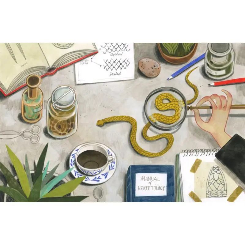 فيليسيتا سالا جوان بروكتر دكتور التنين والنساء التي أحب الزواحف فيليسيتا سالا أندرسن الصحافة المملكة المتحدة 9781783447411 كتاب