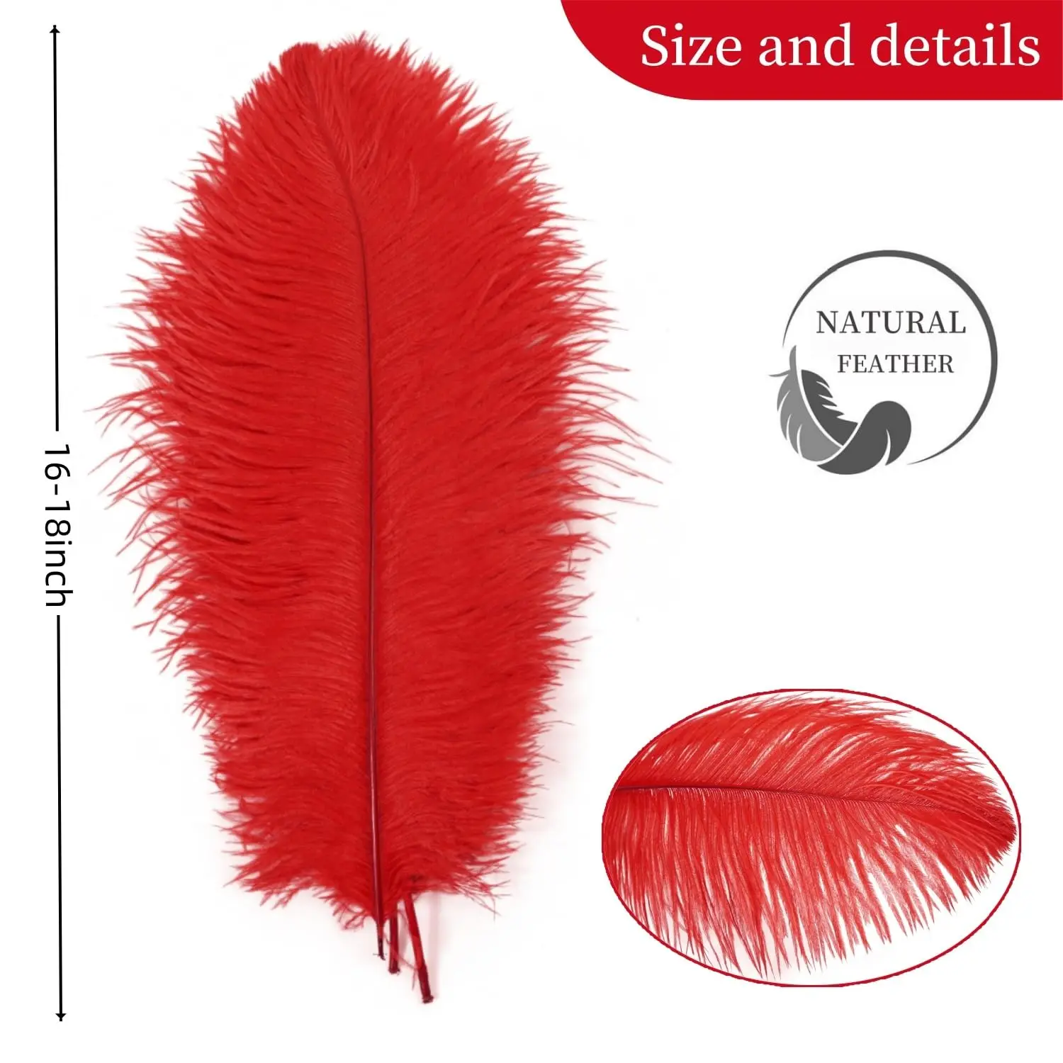 10 pezzi di piume di struzzo rosse 40-45 cm per la decorazione di piume per feste, vasi, centrotavola, decorazioni per la tavola