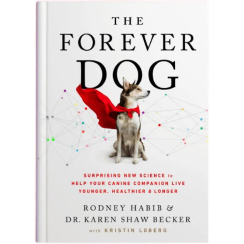 The Forever Dog By Rodney Habib