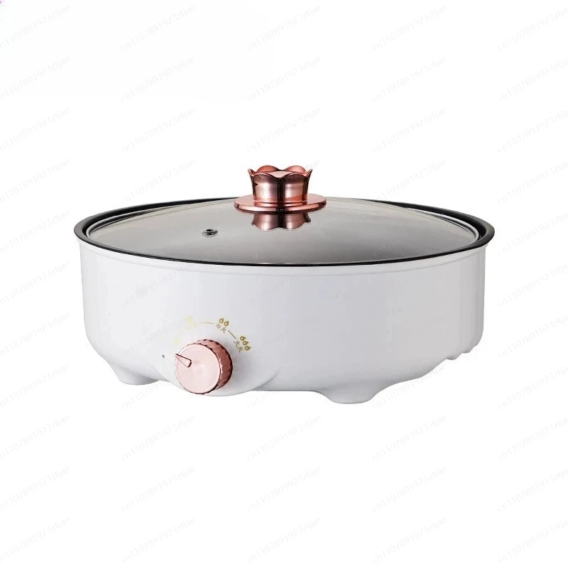 Professional Electric Barbecue Grill - Versatile Kebab & Meat Roaster with Hot Plate, High Power & Easy to Clean