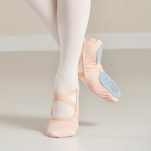 Imagen 1 del producto Zapatillas de Ballet elásticas profesionales para niñas y mujeres, zapatillas de Ballet de suela blanda, zapatillas planas de lona elásticas para Yoga, gimnasio y baile