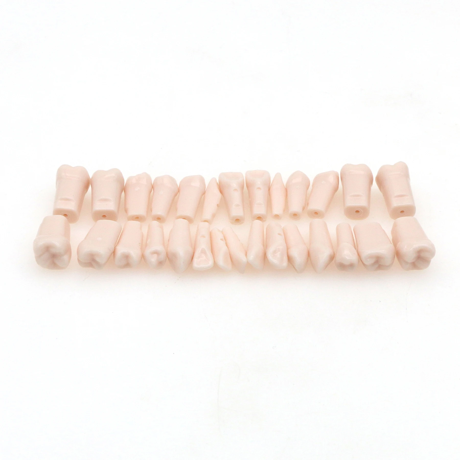 Kilgore Nissin 500 typ Dental Typodont Model 28 szt. Zęby wymienne wkręcane