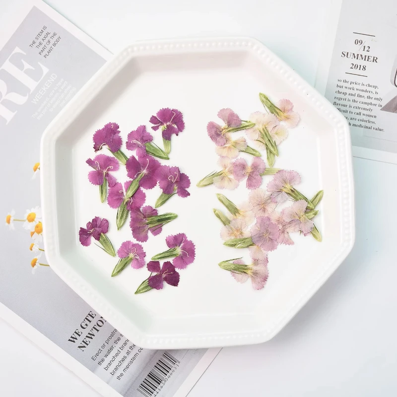 24 Stück/2–3 cm, Natur Nelke getrocknete Blume geprägte Akazie Pflaume echte Blume dekorative Fotorahmen DIY Epoxid Schmuck Blütenblatt Make-up – Detail 1