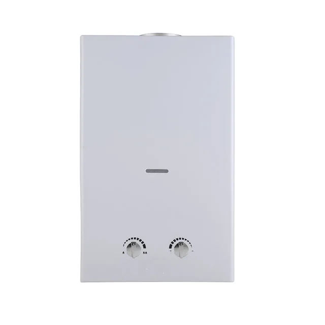 Calentador de agua a Gas de combustión doméstico, 10L, superventas, con protección contra sobrecalentamiento, 10L12L14L, descarga Natural, calentador de agua de calor instantáneo