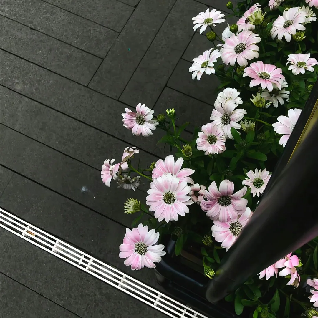 

Медицинский паровой стерилизатор-автоклав для высокотемпературной стерилизации объемом 18 л для стоматологических лабораторий