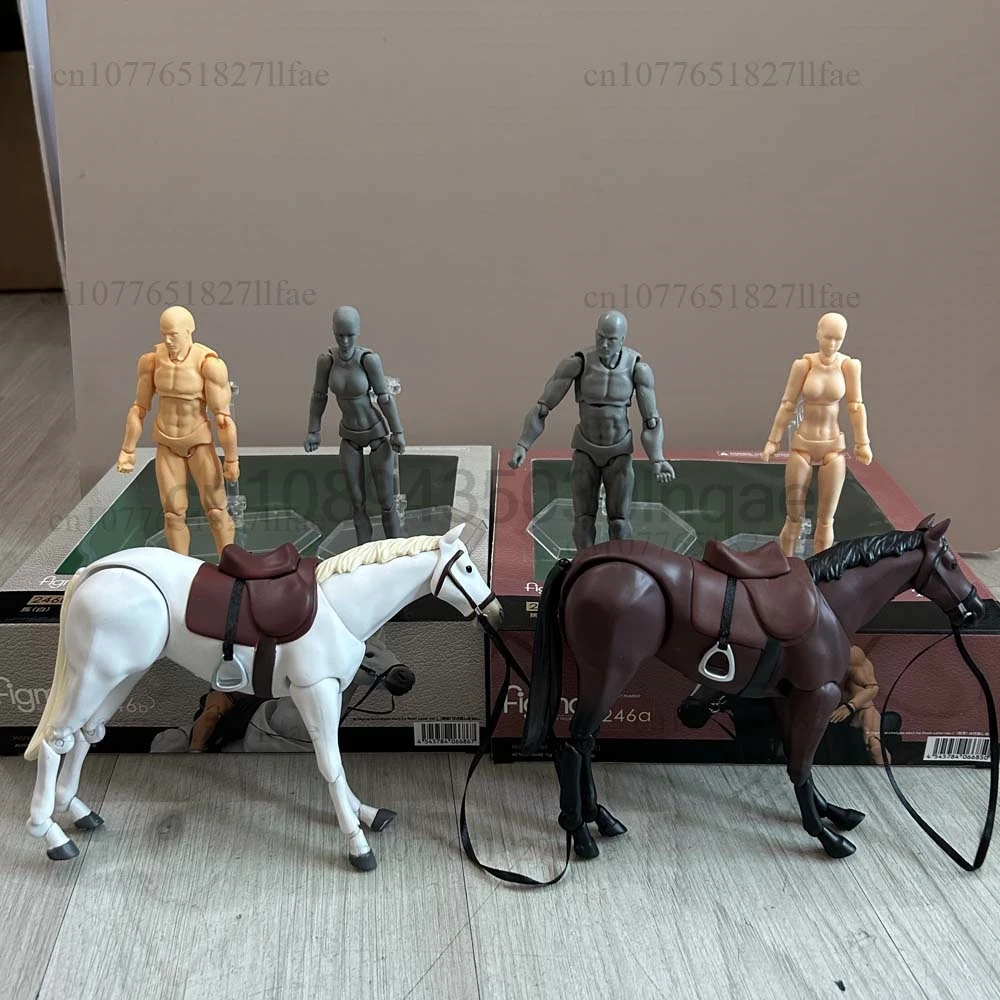 Artist Art Painting Figure Sketch Draw Male Female Movable Body Horse For Figma 246a 246b Action Figure Model Doll Desk Decor