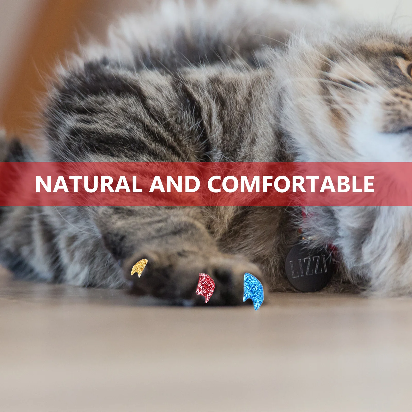 

160 шт., крышки для когтей для домашних животных, колпачки для кошачьих ногтей, полированная отделка, без острых краев, защищает кошки и мебель, колпачки для кошачьих ногтей, колпачки с когтями для домашних животных