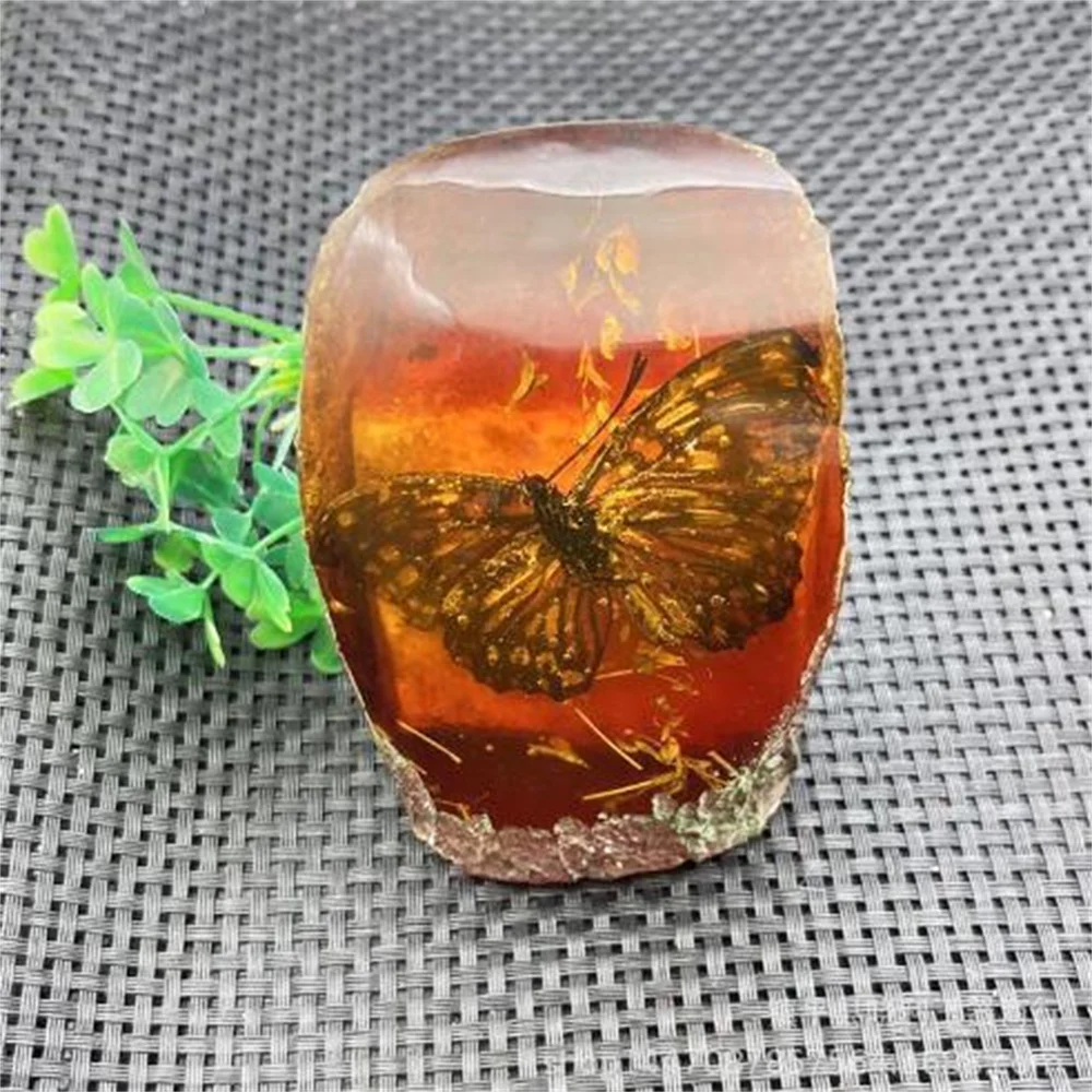 Amber Honey Wax Insect Pet True Insect Specimen Crafts Butterfly Living Room Dressing Decoration Insect Pet Scorpion Golden Cica