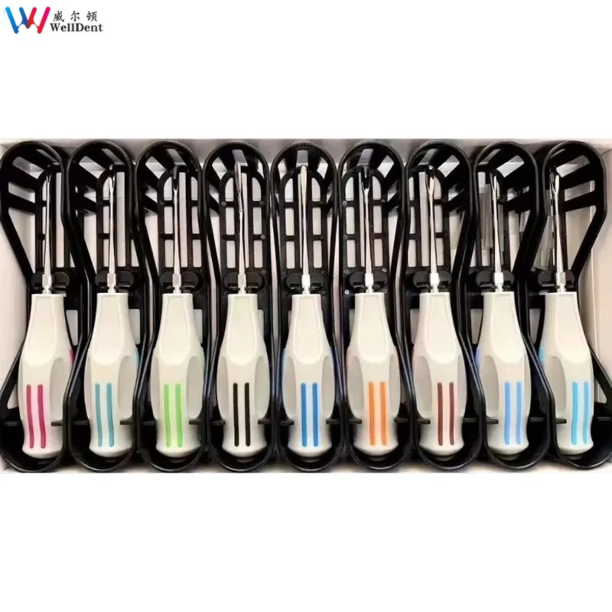 Premium Stainless Steel Laboratory Original Instrument Tools Root Luxating Elevators
