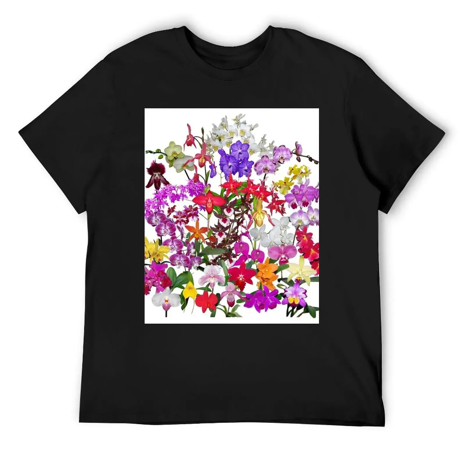 A celebration of orchids T-Shirt blacks for a boy mens clothing