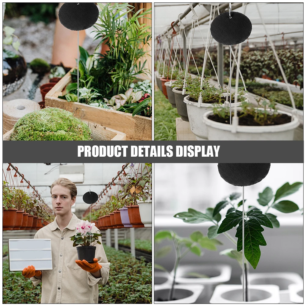 

3Pcs Stainless Steel Garden Markers Stone Plant Stakes Herb Signs for Outdoor Vegetable Garden Plant Labels Waterproof Metal