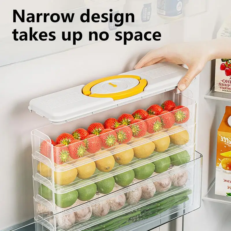 2/3/4 Layers Dumpling Storage Box With Lids Stackable Space Saving Durable Clear Dumpling Box Food Grade PP Storage Container