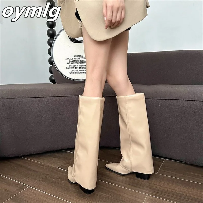 Autumn and winter new pointed long leg pants boots, internet famous fashion boots, casual high heels fashion boots