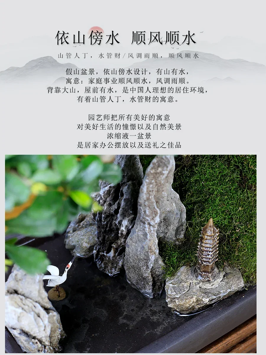 أوراق صغيرة فوجيان الشاي المشهد الجنينة بونساي النمذجة النباتات كومة قديمة داخلي غرفة المعيشة مكتب غرفة الشاي النباتات الخضراء بوعاء p