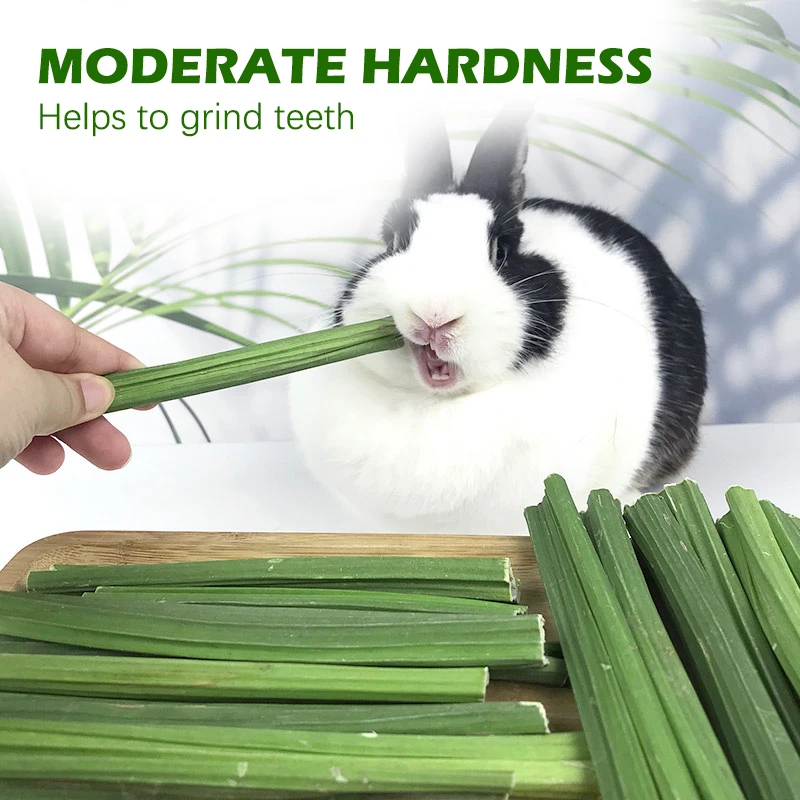 Sweet Bamboo Stick Branch Rabbit Dried Papaya Stem Molar Sticks Small Pet Teeth Cleaning Teeth Treat Molar Chew Grinding Toy