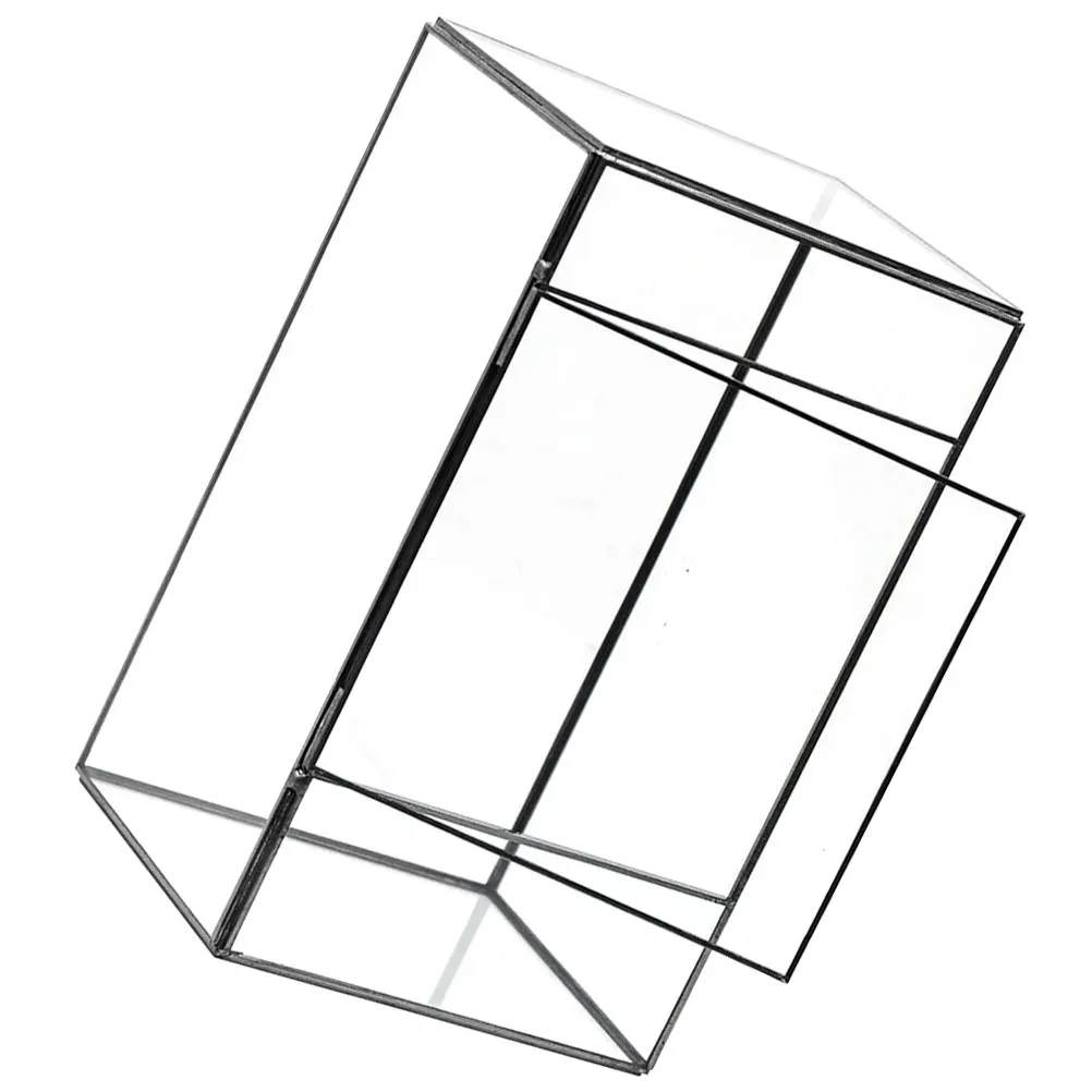 

Glass Terrarium Desktop Mini Landscape Display Holder for Plants Moss Terrarium Container Ecosystem Decorative Case for Home
