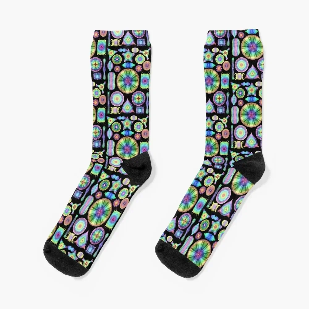 Ernst Haeckel Rainbow Diatoms on Black Socks Men's winter thermal essential hiphop Socks Female Men's