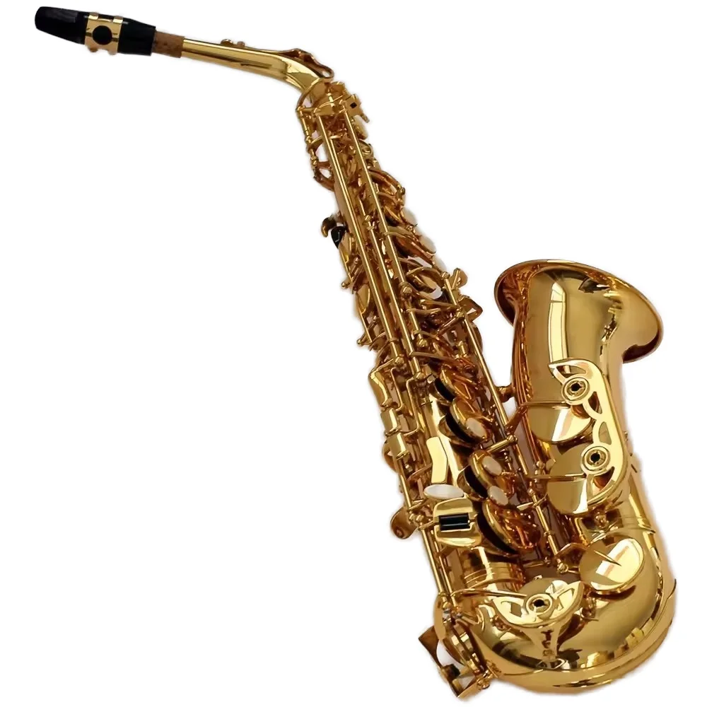 Eb Alto Saxophone Multi-Color Options Gold Lacquer Electrophoretic Instrument with Brass Head