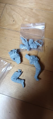 Buyer photo of this resin kit
