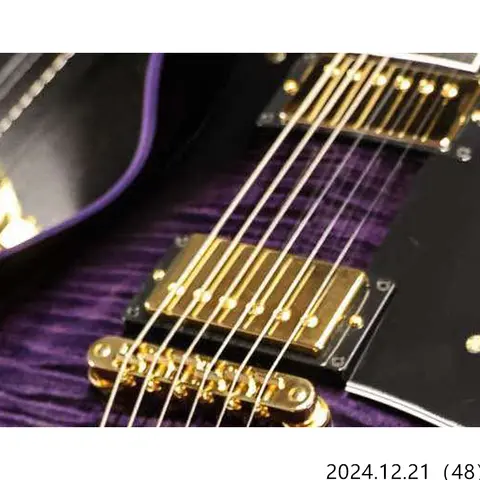 Purple Widow Les Paul Electric Guitar, Ebony Fingerboard, Fret Nibs, Bone Nut